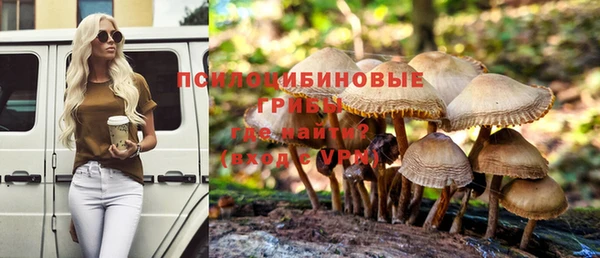 ALPHA PVP Баксан