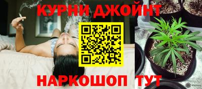 гидропоника Коммунар