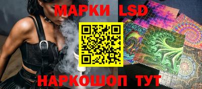 хмурый Кингисепп