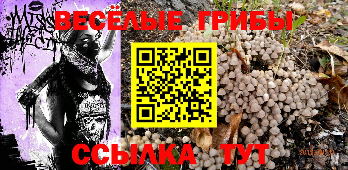 Псилоцибиновые грибы Cubensis  Вход с VPN  Галлюциногенные грибы прущие грибы  Краснокаменск 